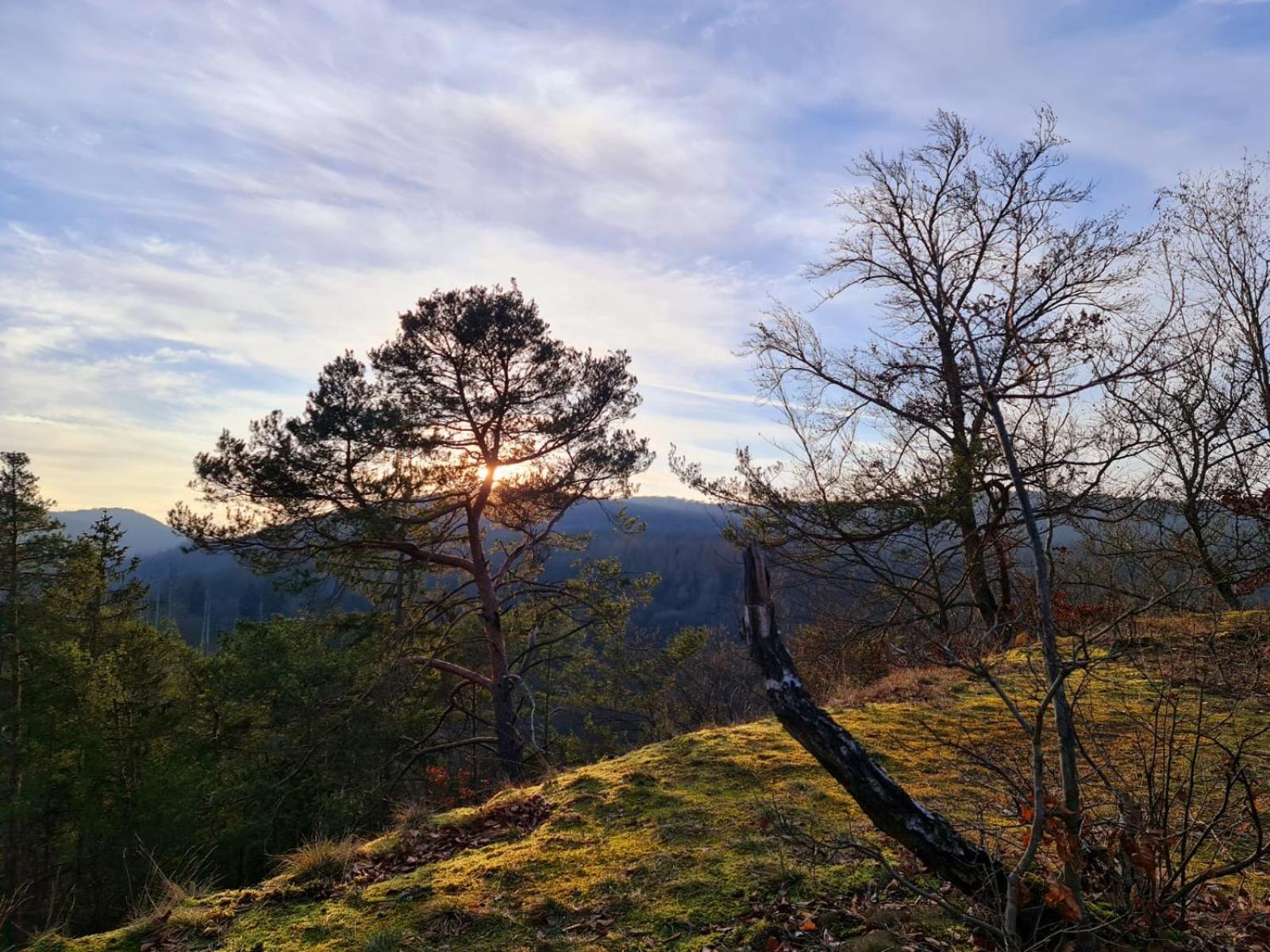 Ferienhaus Schoene Aussicht Ferienwohnung Gelb Hemfurth-Edersee Exteriör bild